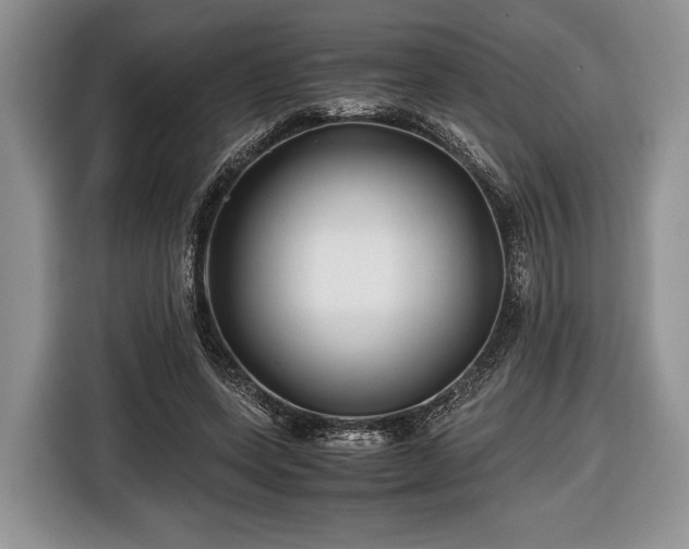 X0000116440543200912151242