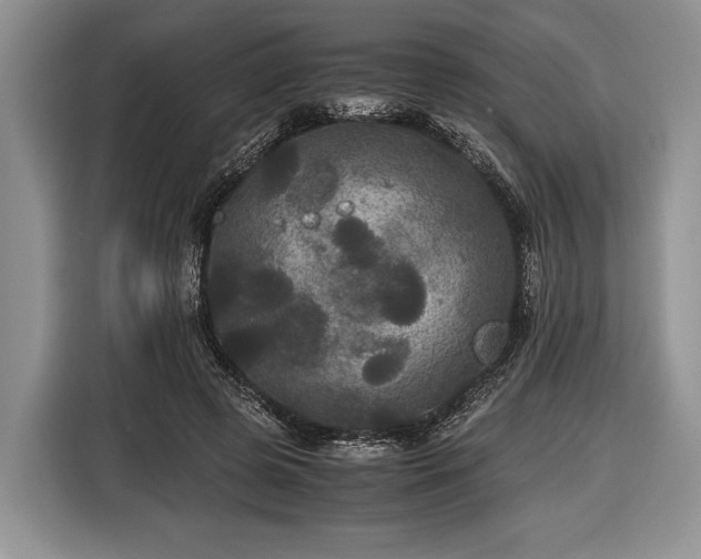 X0000116440545200912151242