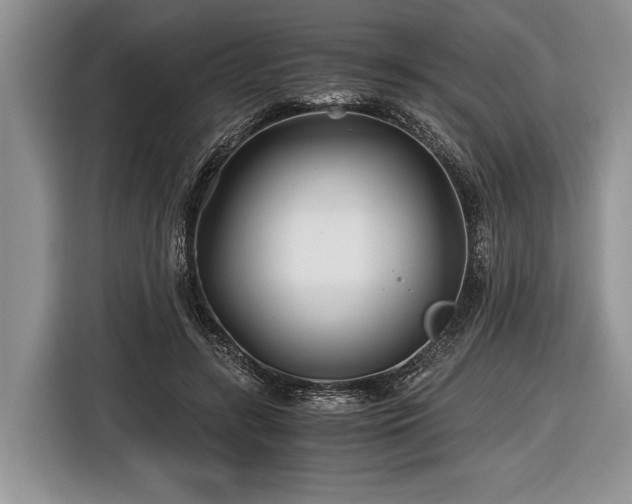 X0000116440547200912151242