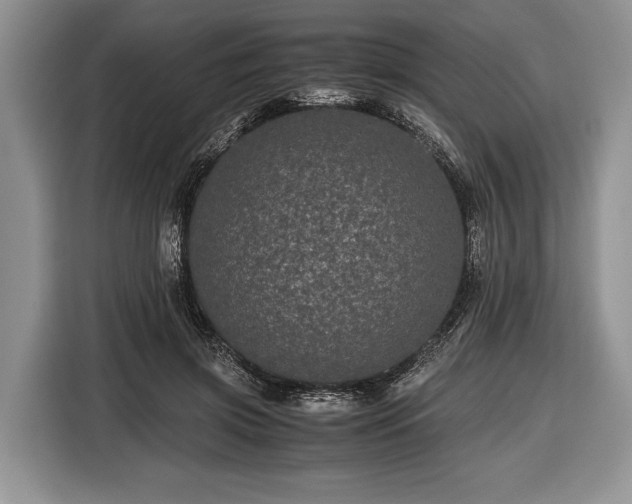 X0000116440549200912151242