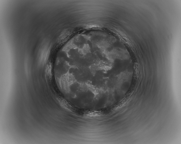 X0000116440550200912151242