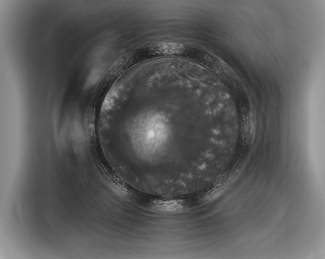 X0000116440553200912151242