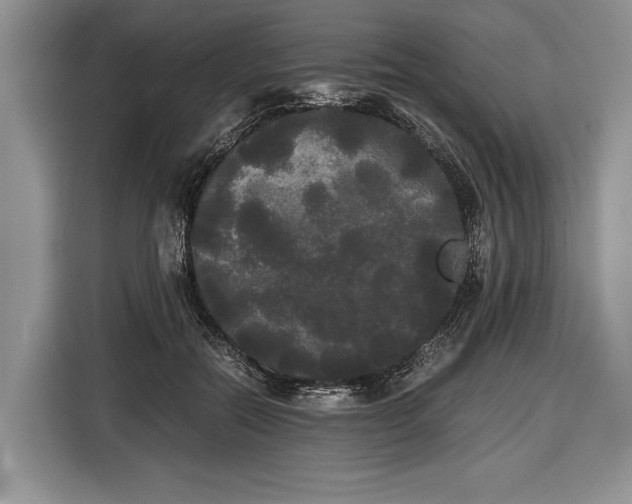 X0000116440554200912151242