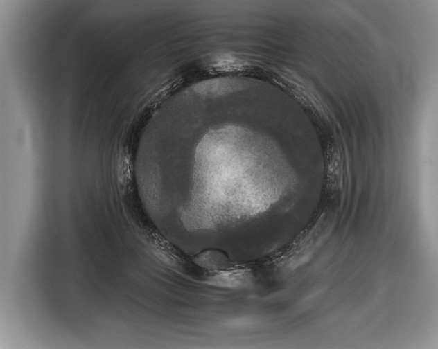 X0000116440555200912151242