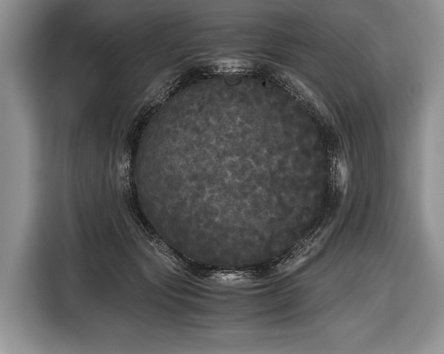 X0000116440557200912151242