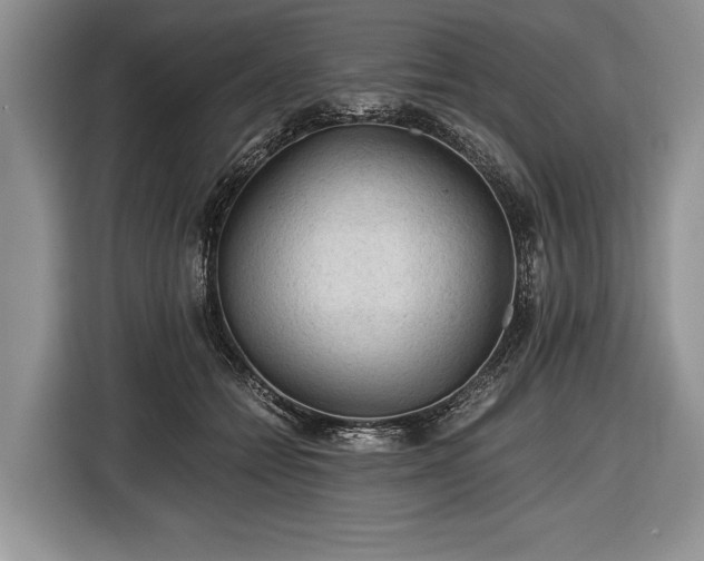 X0000116440558200912151242