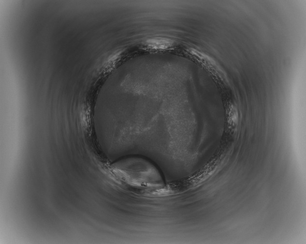 X0000116440559200912151242