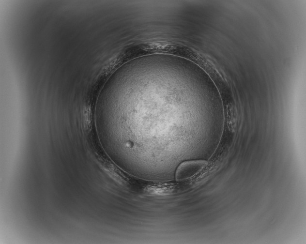 X0000116440563200912151242