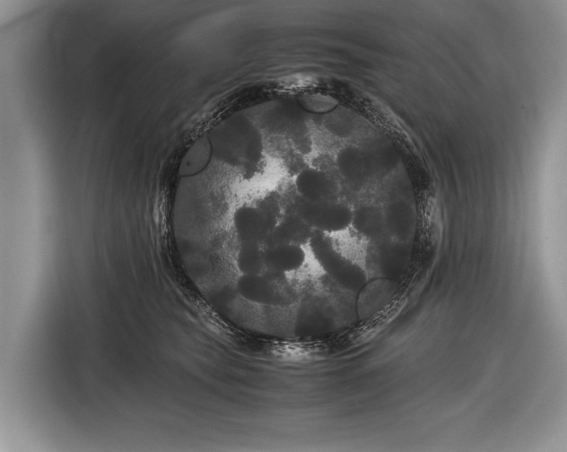 X0000116440565200912151242