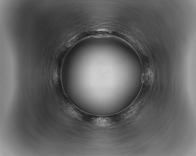 X0000116440566200912151242