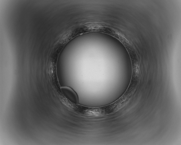 X0000116440567200912151242