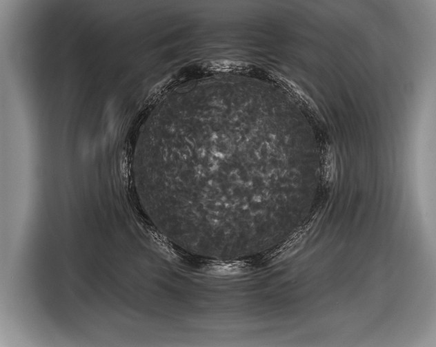 X0000116440569200912151242
