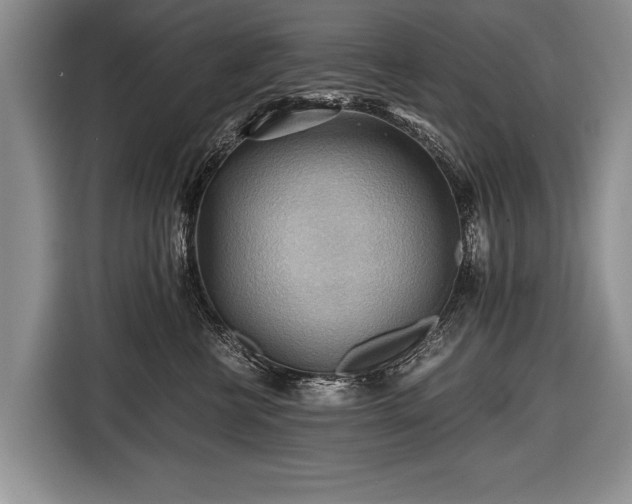 X0000116440570200912151242