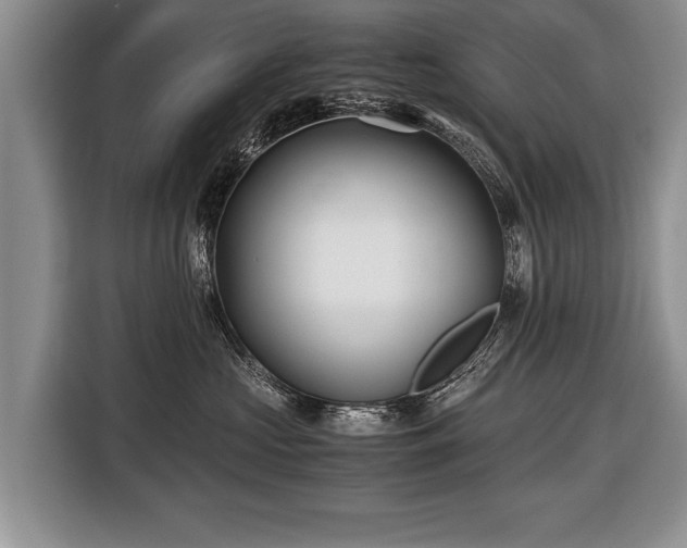 X0000116440573200912151242