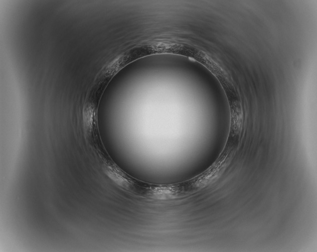 X0000116440574200912151242