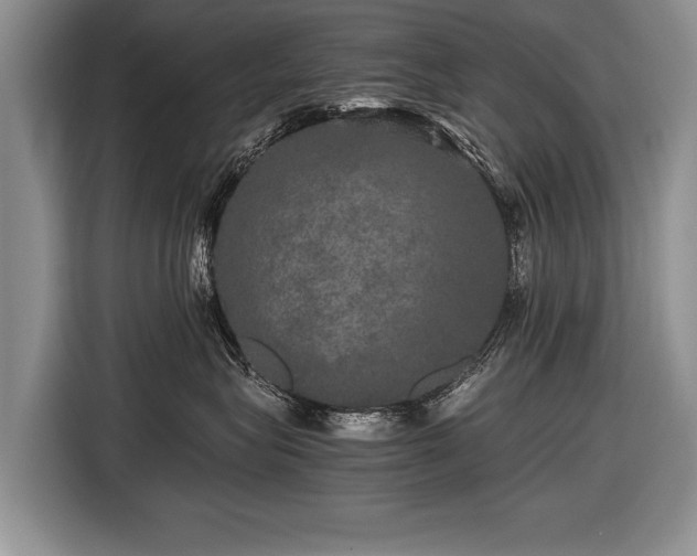X0000116440575200912151242