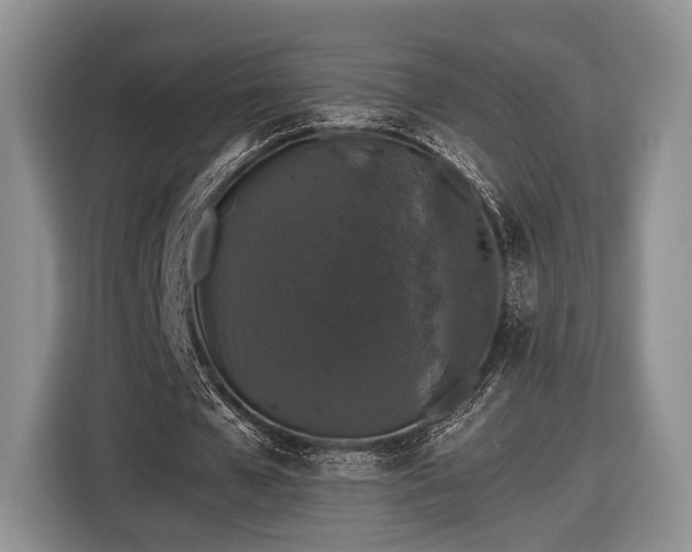 X0000116440577200912151242
