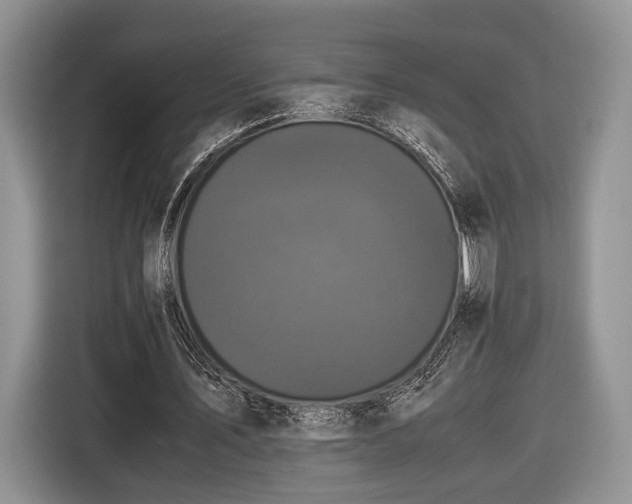 X0000116440579200912151242