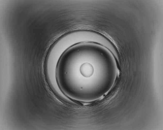 X0000116440581200912151242