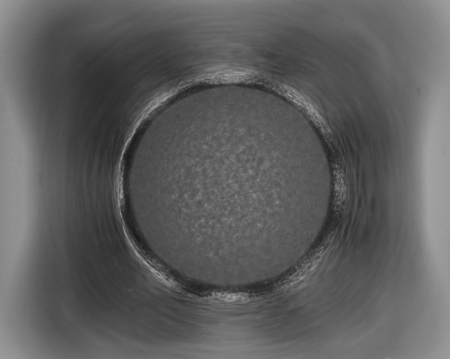 X0000116440582200912151242