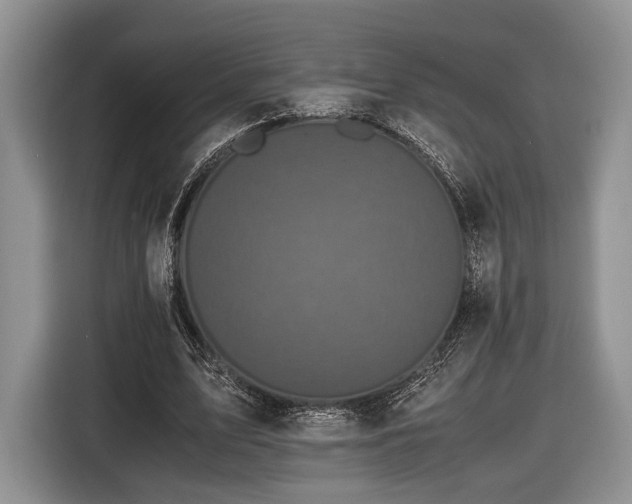 X0000116440583200912151242