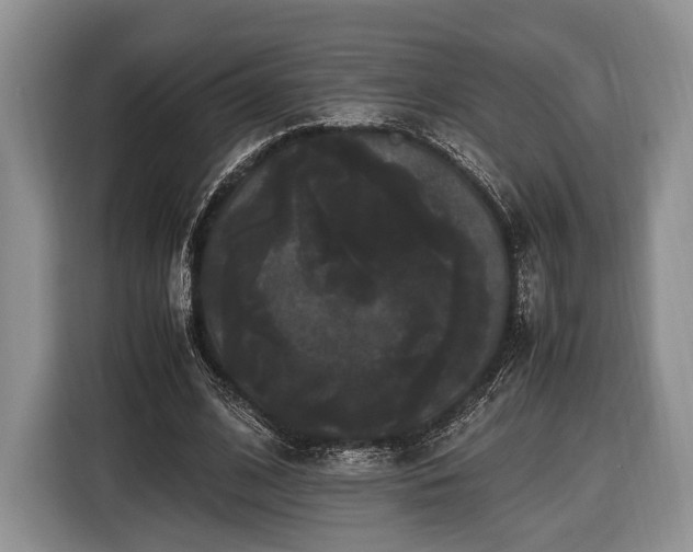 X0000116440584200912151242
