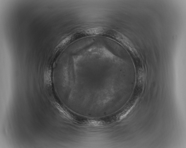 X0000116440585200912151242