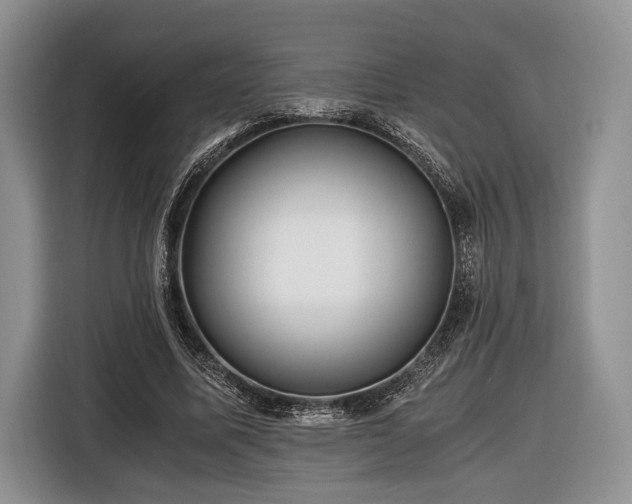X0000116440587200912151242