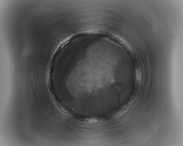 X0000116440588200912151242