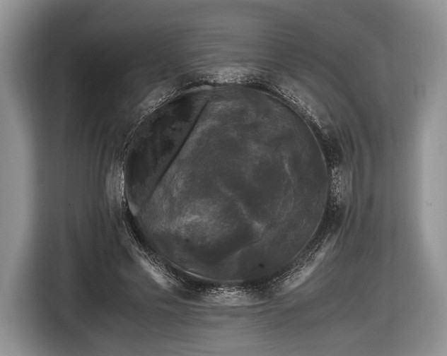 X0000116440589200912151242