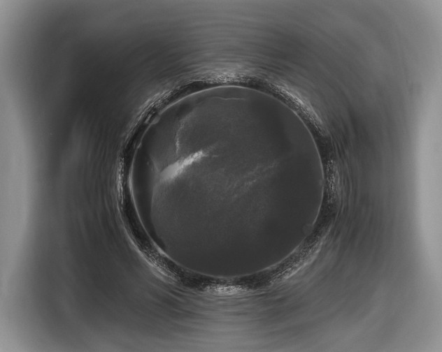 X0000116440590200912151242