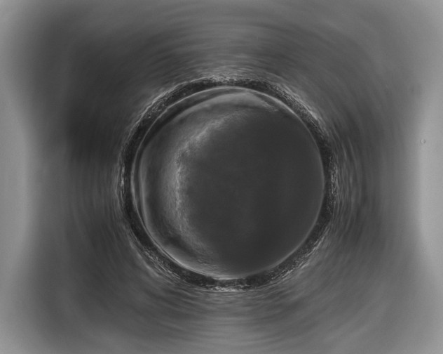 X0000116440592200912151242