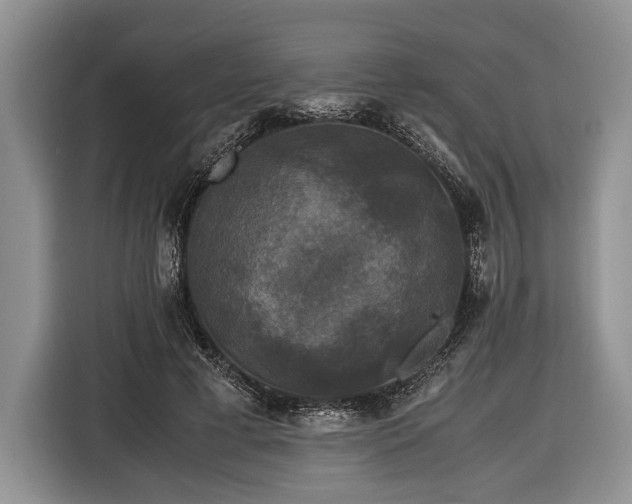 X0000116440593200912151242