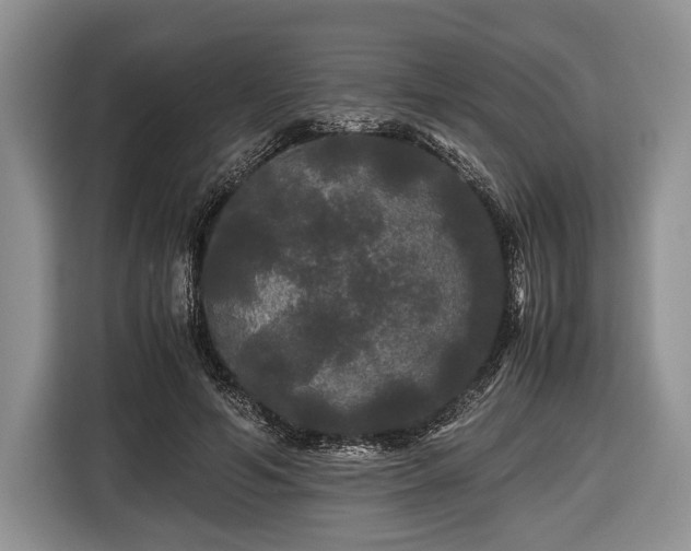 X0000116440594200912151242
