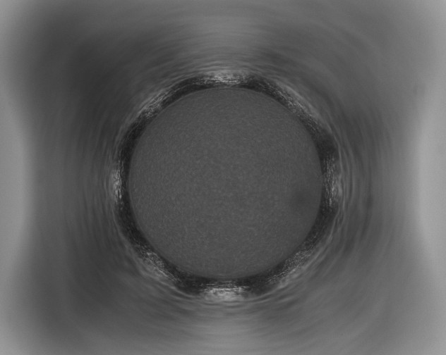 X0000116440595200912151242