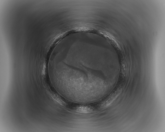 X0000116440596200912151242