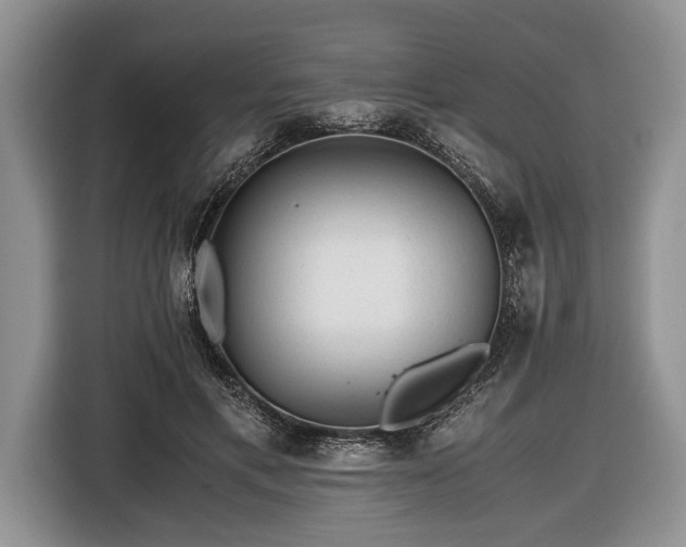 X0000116440597200912151241