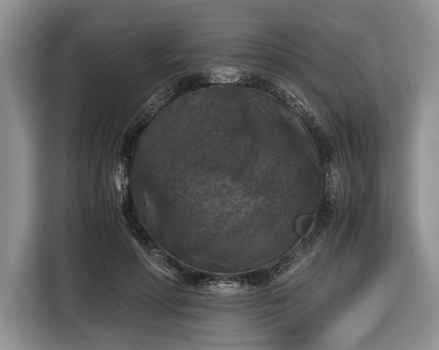X0000116440598200912151241