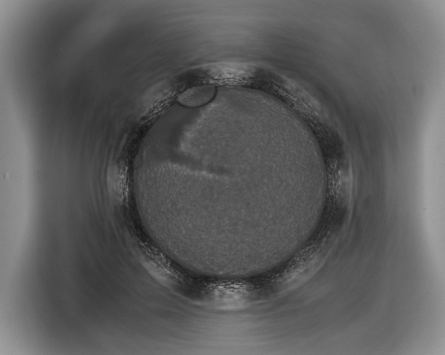 X0000116440599200912151241