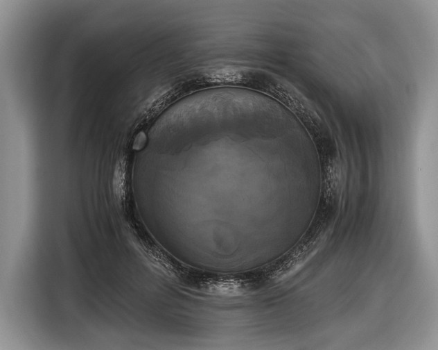 X0000116440600200912151241