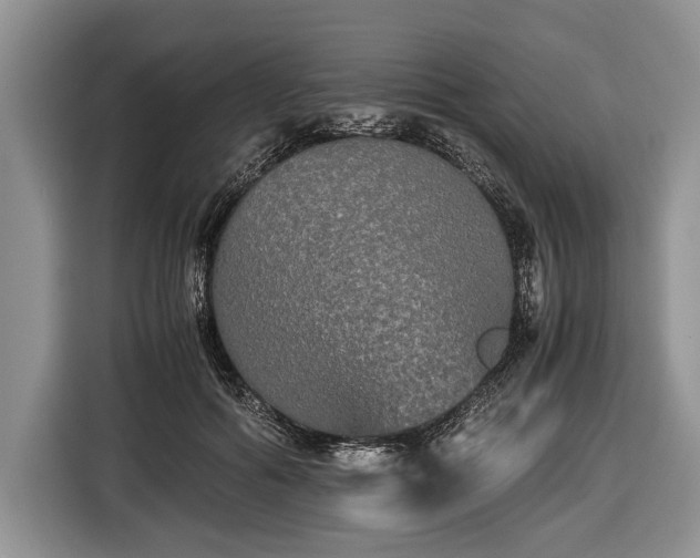 X0000116440602200912151241