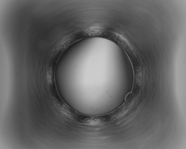 X0000116440604200912151241