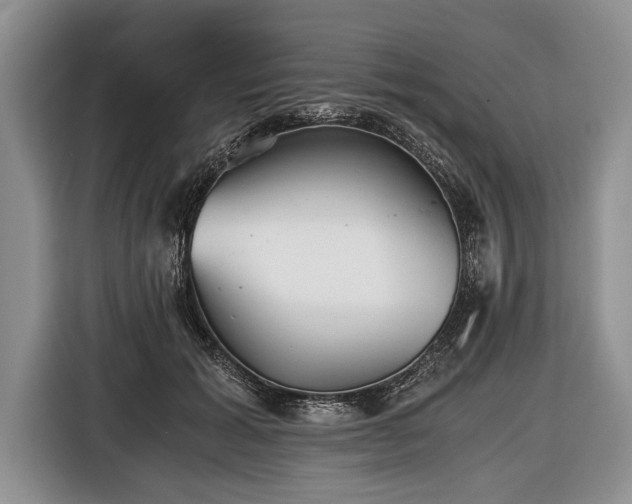 X0000116440605200912151241