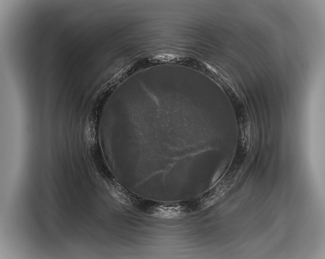 X0000116440606200912151241