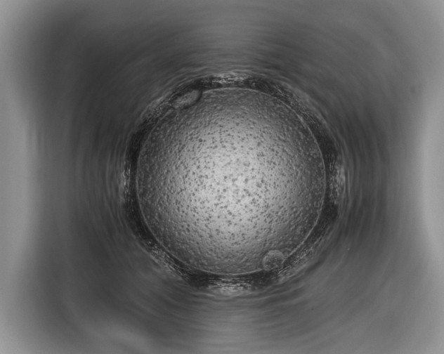 X0000116440608200912151241