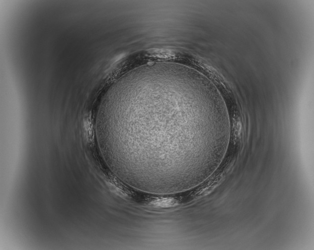 X0000116440609200912151241