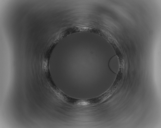 X0000116440610200912151241