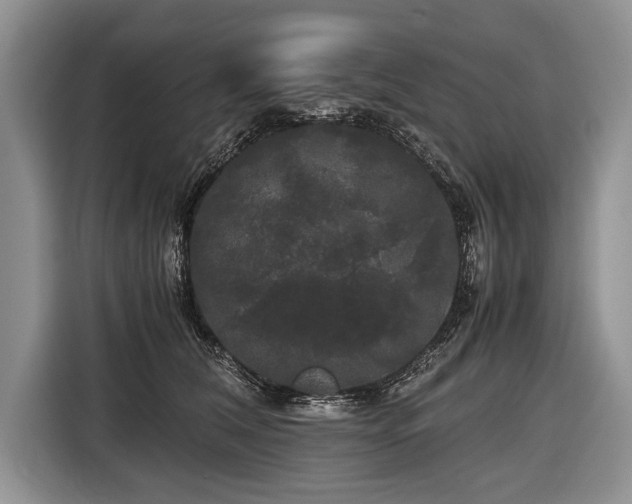 X0000116440612200912151241