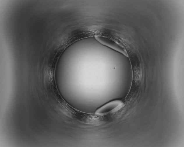 X0000116440613200912151241