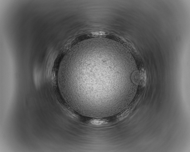 X0000116440614200912151241